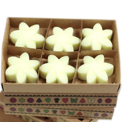 Box of 6  Wax Melts - Lemon Harvest