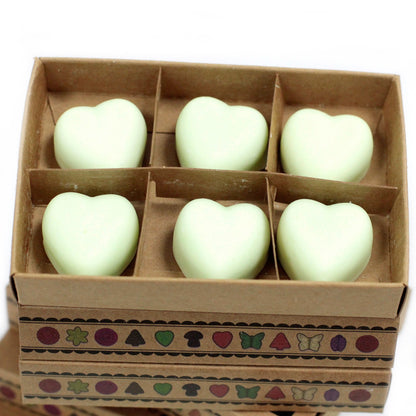 Box of 6  Wax Melts - Mint & Menthol